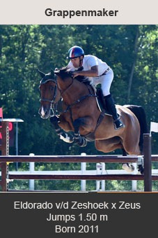 Grappenmaker Roberto TURCHETTO Eldorado Verdi