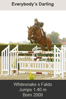 Everybody's Darling Holger Hetzel Whitenake Faldo