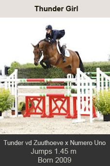 Thunder Girl Thunder van de Zuuthoeve Numero Uno Ingemar HAMMARSTRÖM