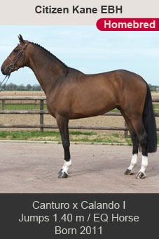 Citizen Kane Canturo Calando I Ales OPATRNY