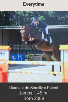 Everytime Diamant de semilly Patent Jamie Wingrove