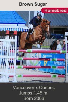 Brown Sugar Vancouver Quebec