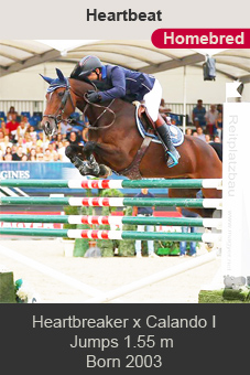 Heartbreaker Calando I HG Heartbeat Fritz KOGELNIG 