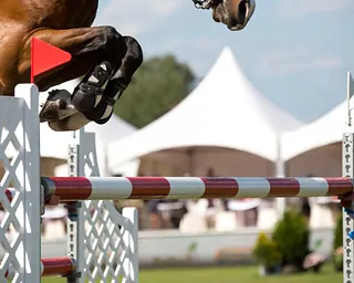 jumping horses